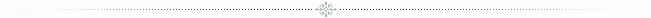 elegant_post_header_separator