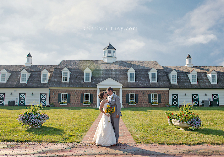 Mildale_Farm_Wedding38